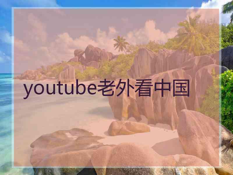 youtube老外看中国