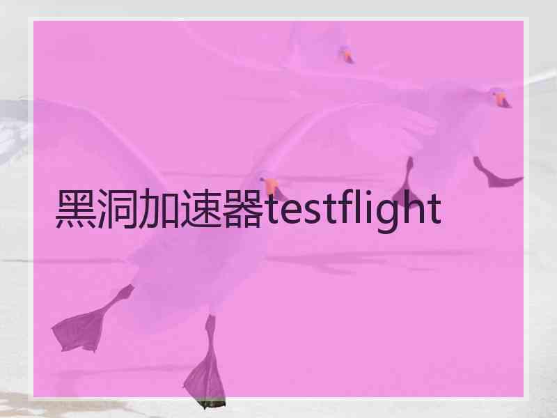 黑洞加速器testflight