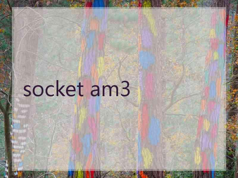 socket am3