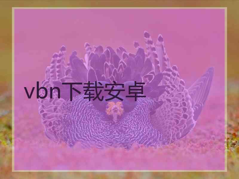 vbn下载安卓