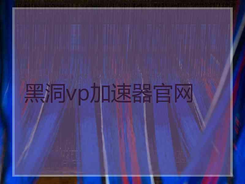 黑洞vp加速器官网