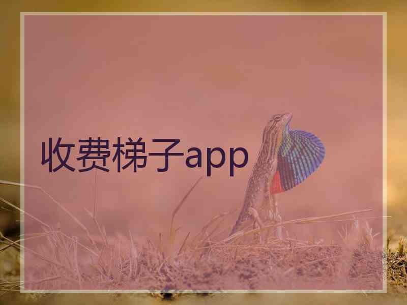 收费梯子app