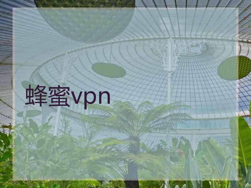 蜂蜜vpn