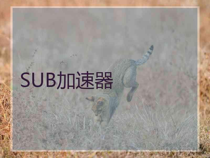 SUB加速器