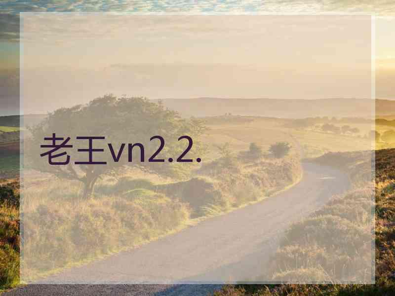 老王vn2.2.