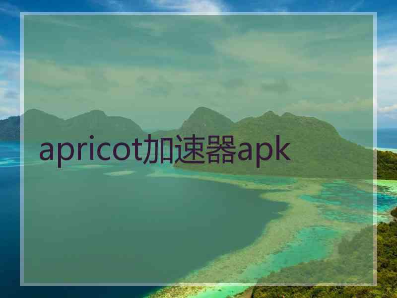 apricot加速器apk