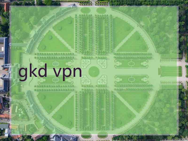 gkd vpn