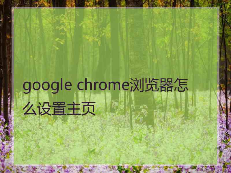 google chrome浏览器怎么设置主页