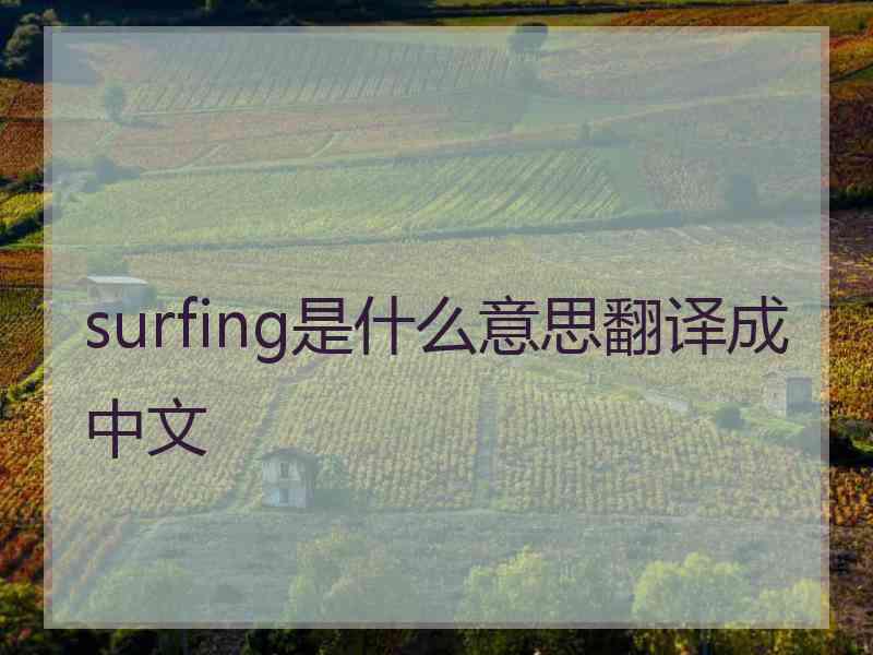 surfing是什么意思翻译成中文