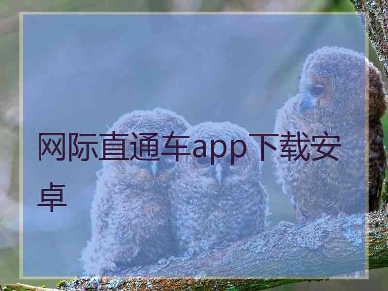 网际直通车app下载安卓