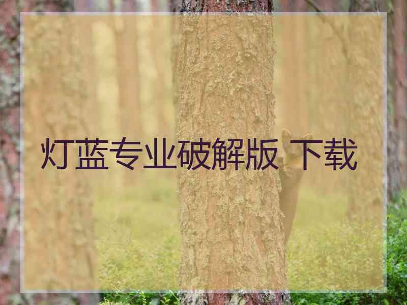 灯蓝专业破解版 下载