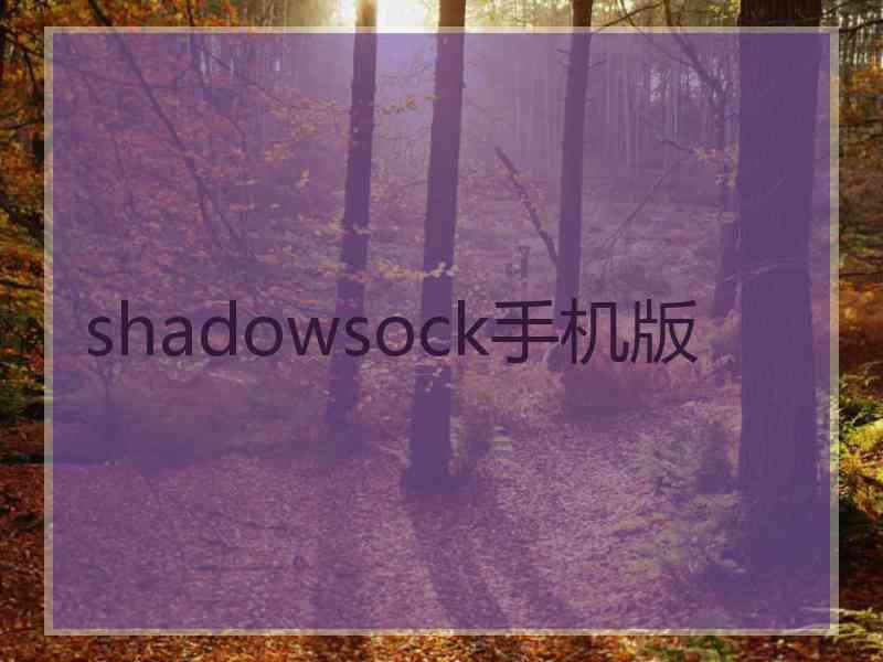 shadowsock手机版