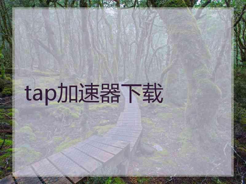 tap加速器下载