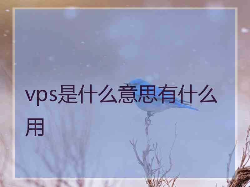 vps是什么意思有什么用