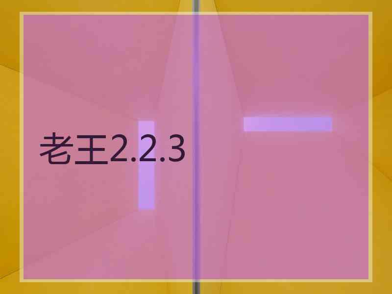 老王2.2.3