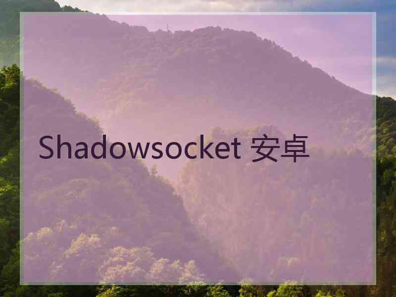 Shadowsocket 安卓