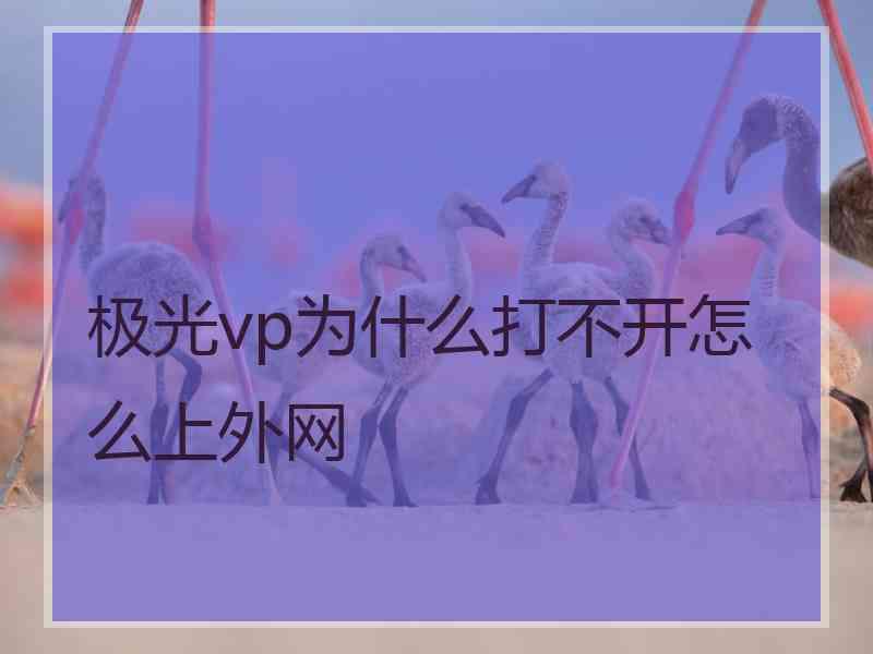 极光vp为什么打不开怎么上外网