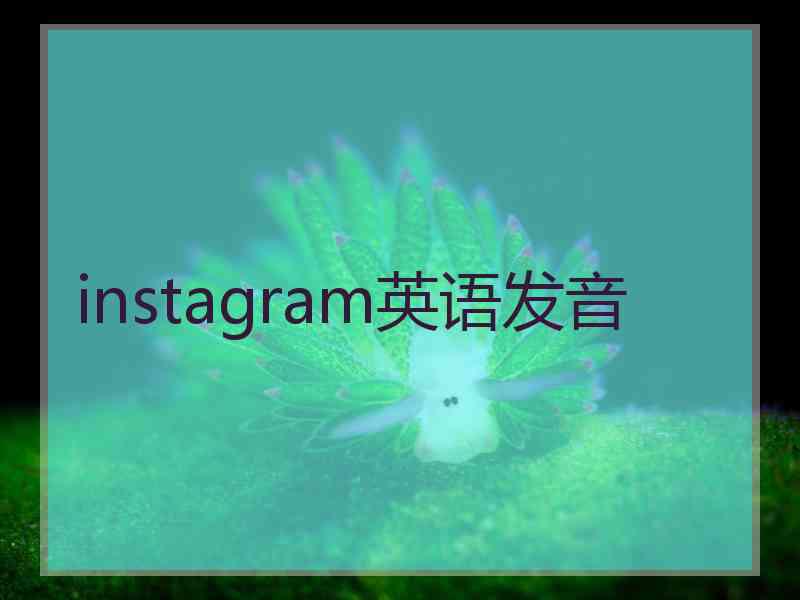 instagram英语发音