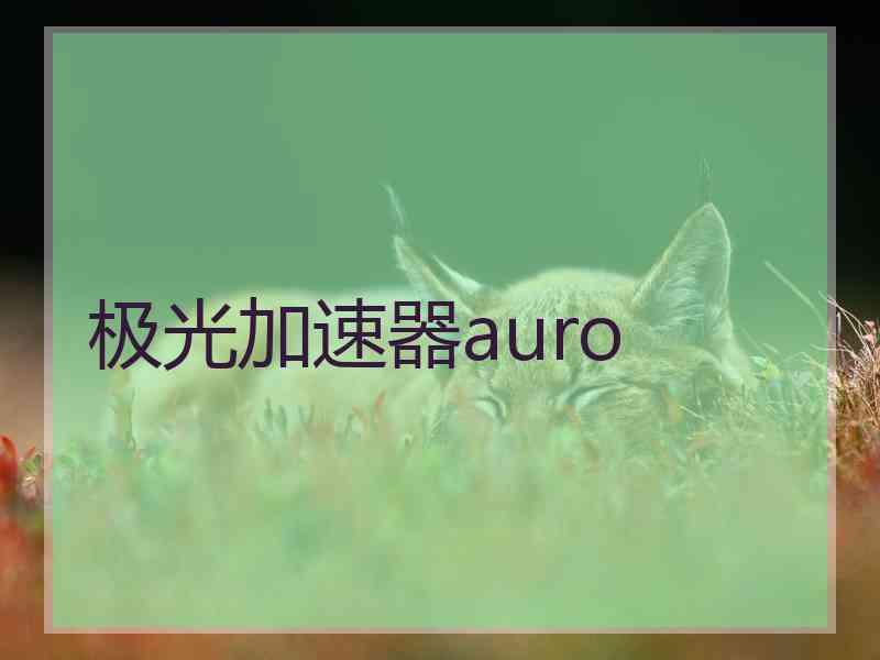 极光加速器auro