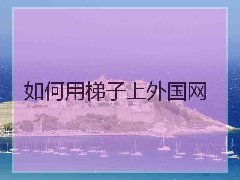 如何用梯子上外国网