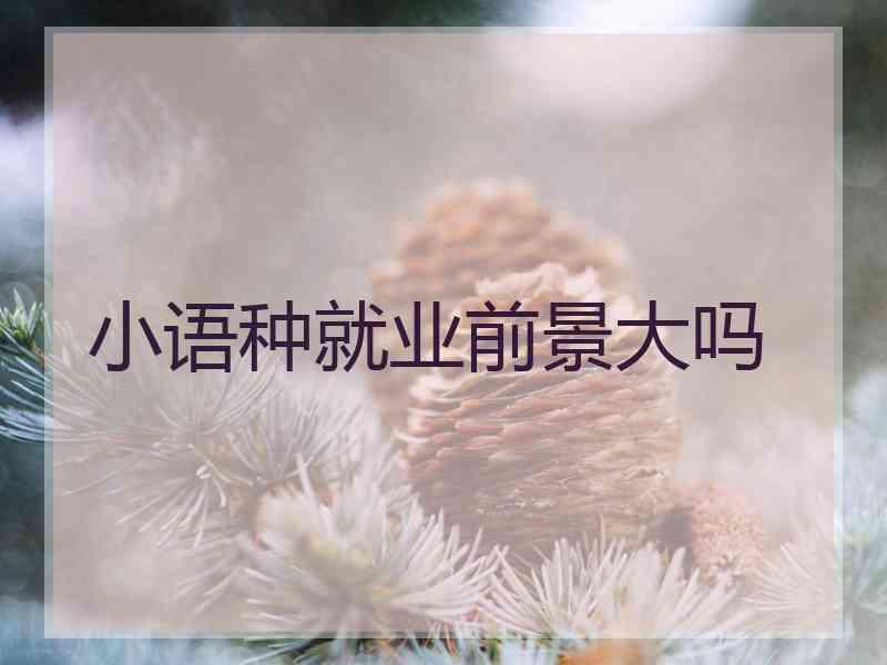 小语种就业前景大吗