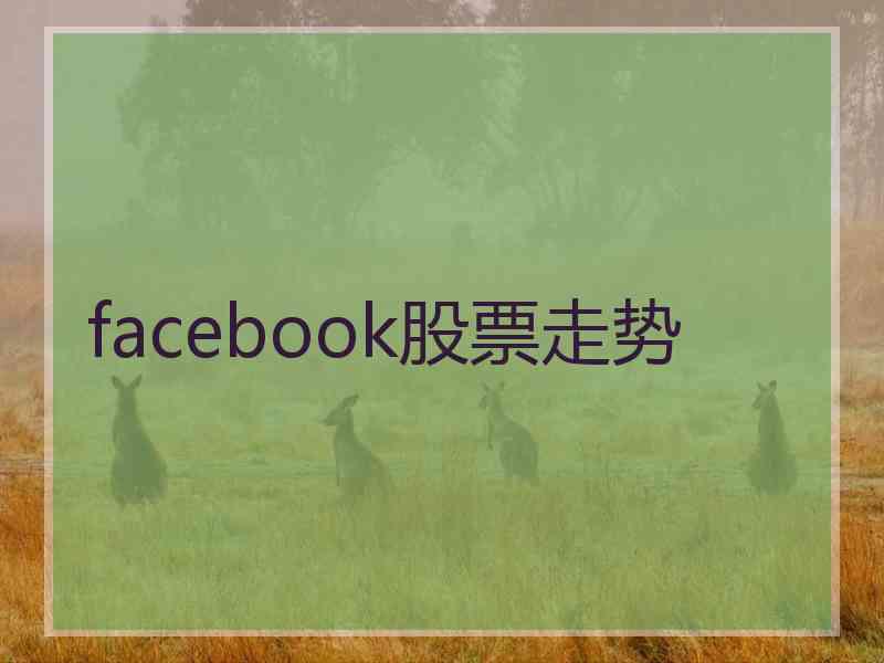 facebook股票走势