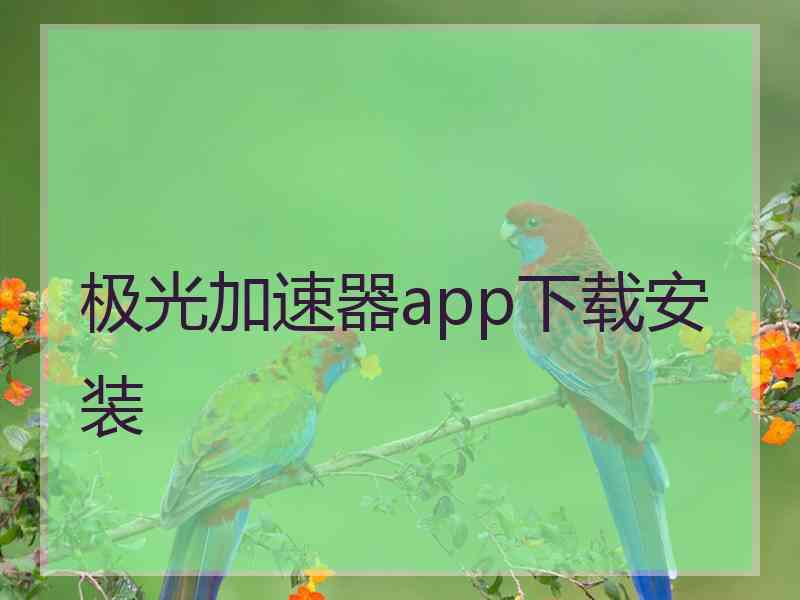 极光加速器app下载安装