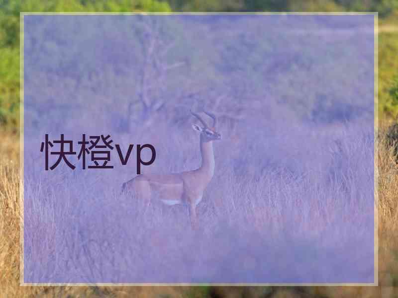 快橙vp