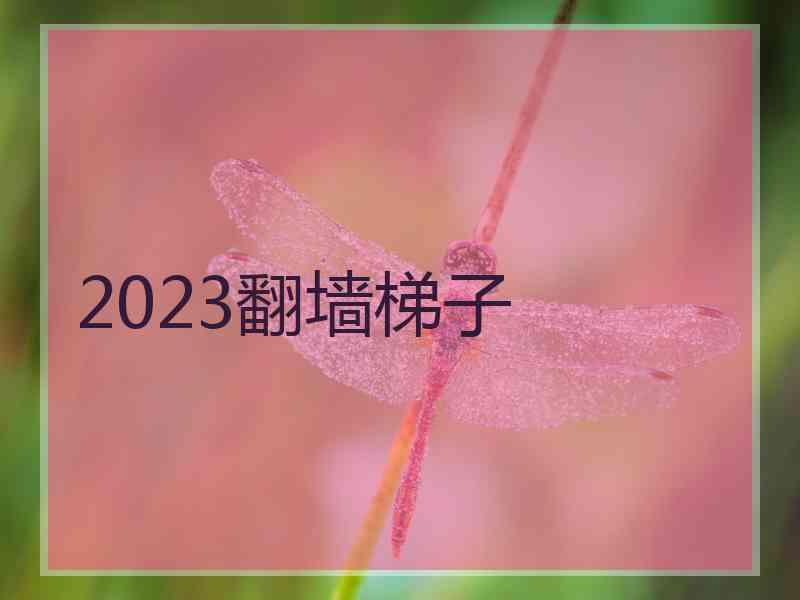 2023翻墙梯子