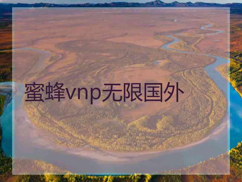 蜜蜂vnp无限国外