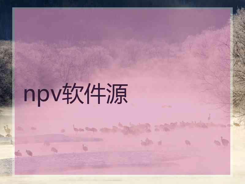 npv软件源