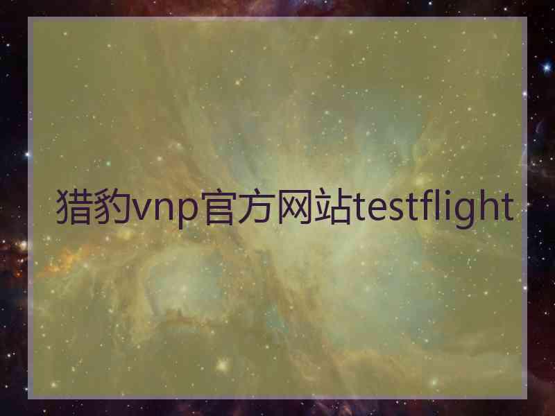 猎豹vnp官方网站testflight