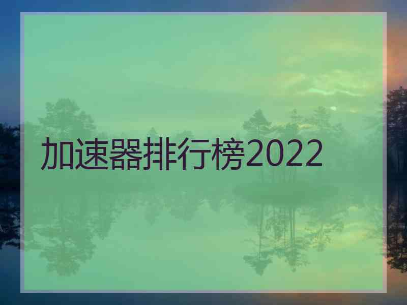 加速器排行榜2022