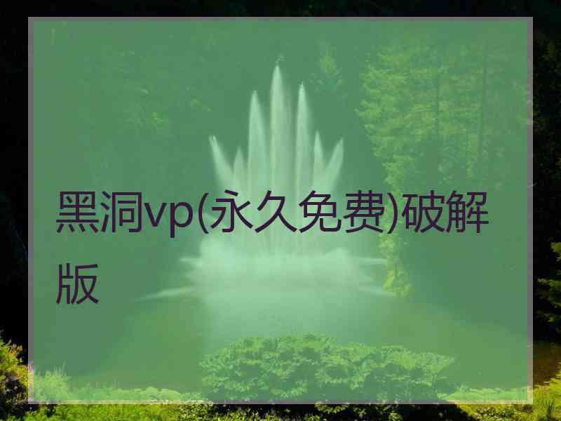 黑洞vp(永久免费)破解版