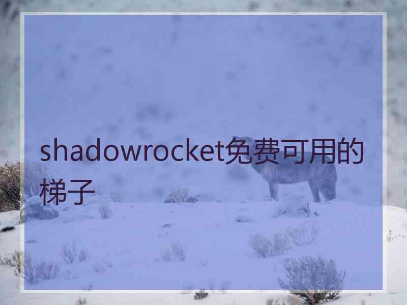 shadowrocket免费可用的梯子