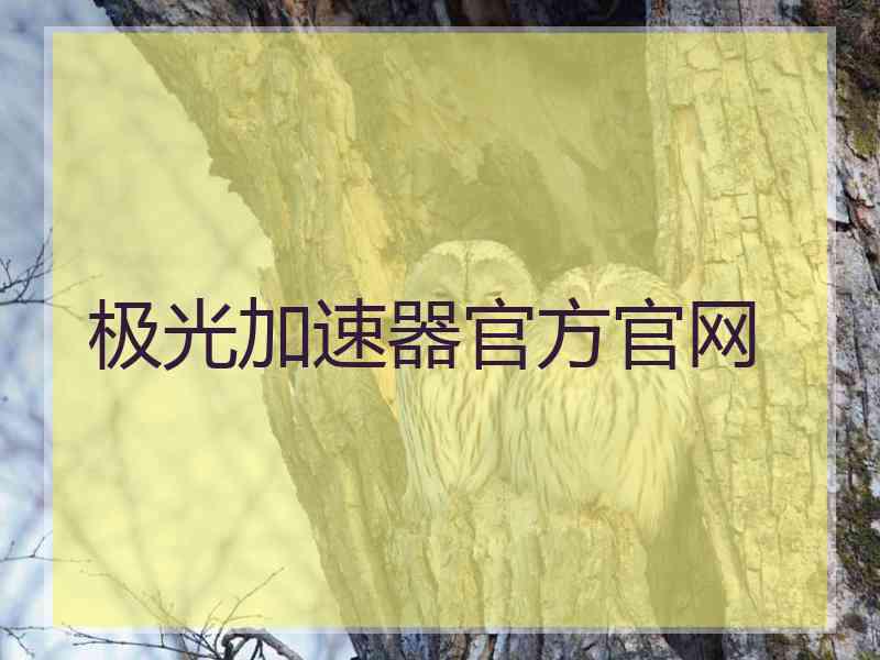 极光加速器官方官网