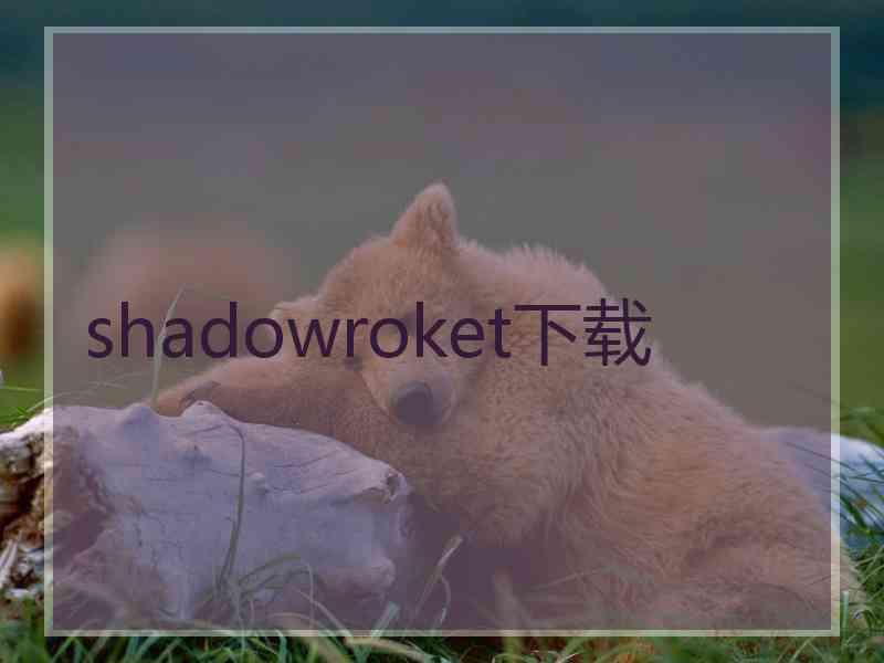 shadowroket下载