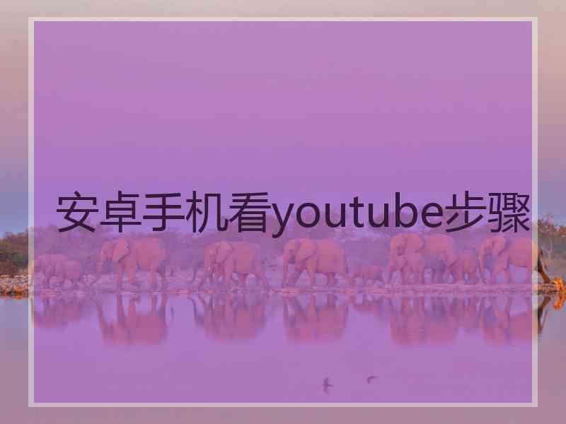 安卓手机看youtube步骤