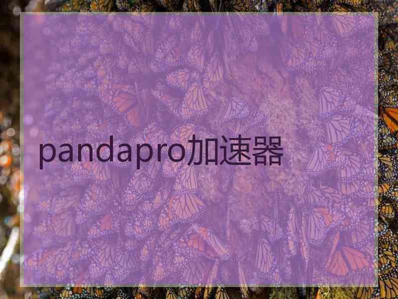 pandapro加速器