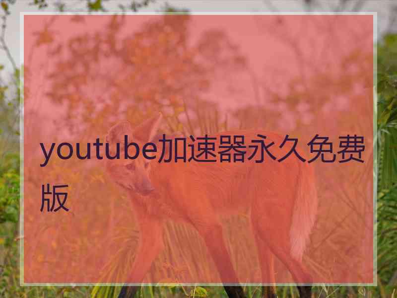 youtube加速器永久免费版