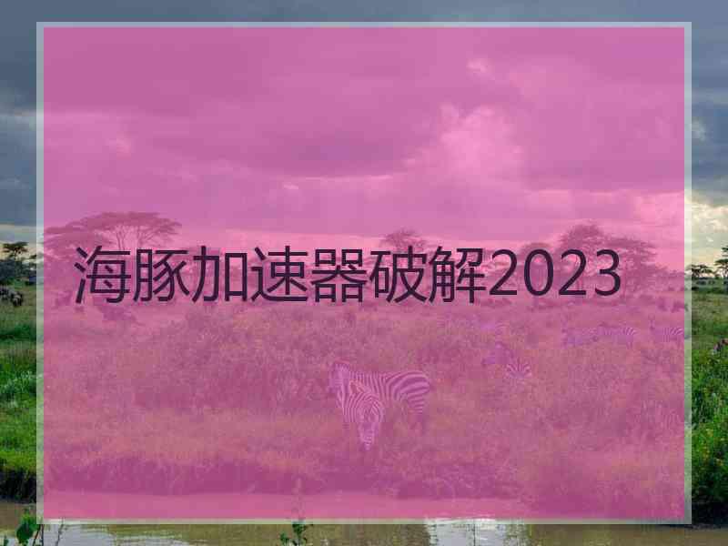 海豚加速器破解2023