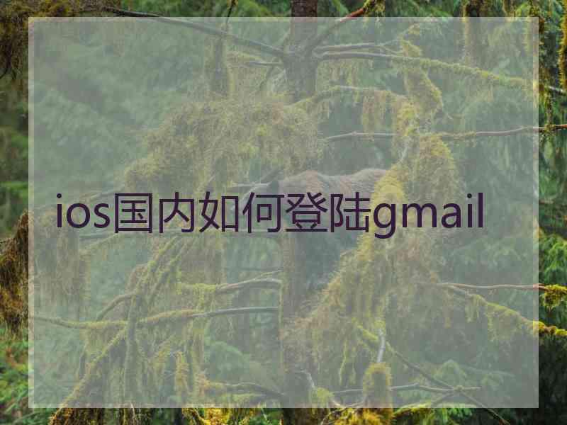 ios国内如何登陆gmail