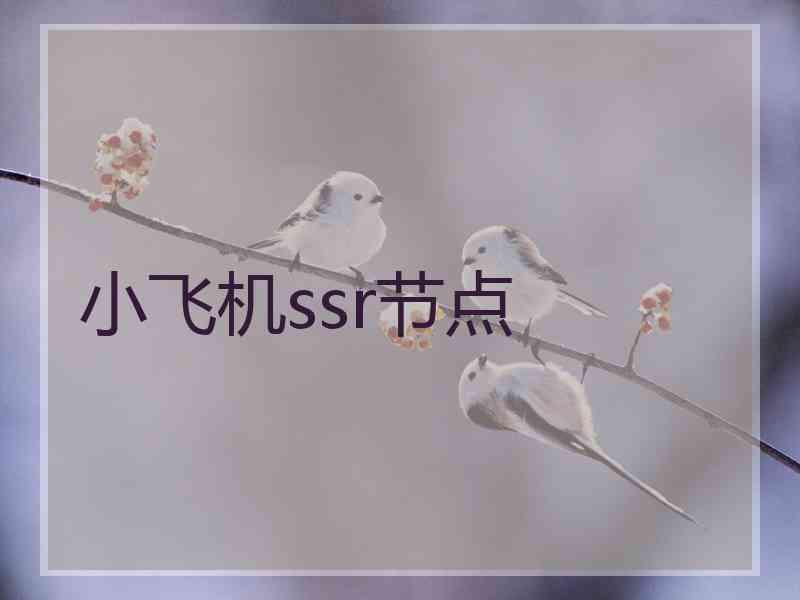 小飞机ssr节点