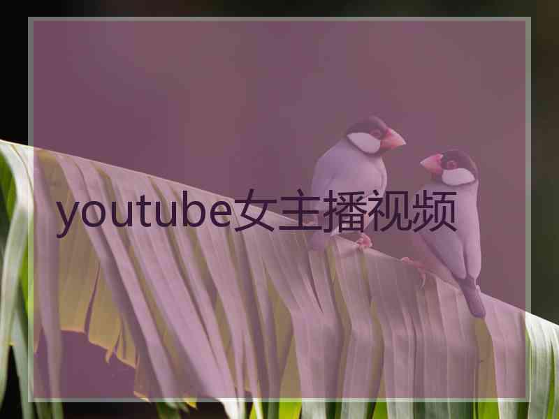 youtube女主播视频