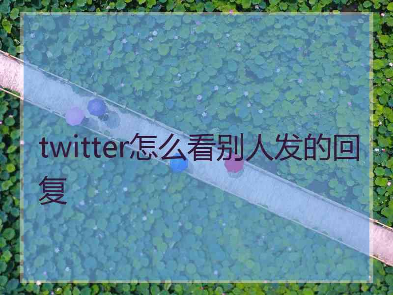 twitter怎么看别人发的回复