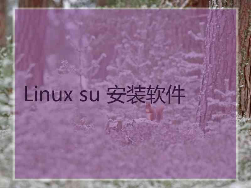 Linux su 安装软件