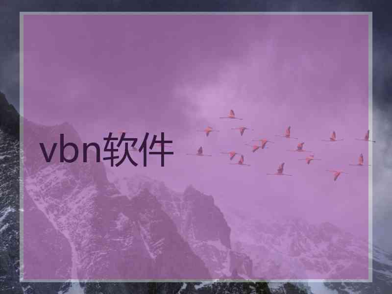 vbn软件