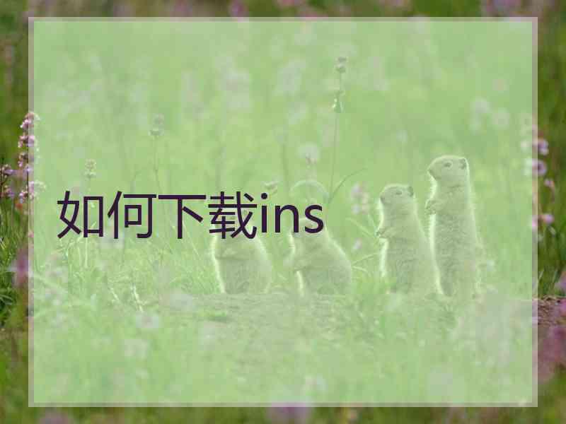 如何下载ins