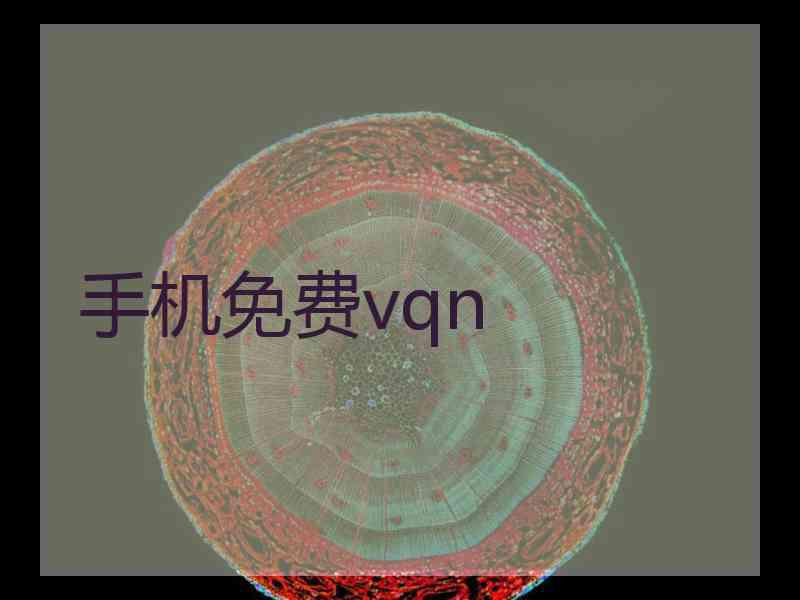 手机免费vqn