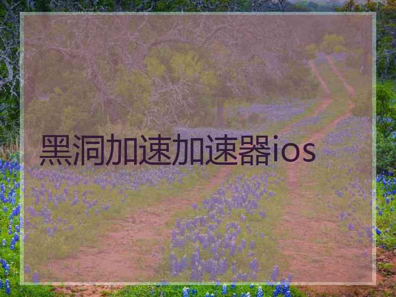 黑洞加速加速器ios